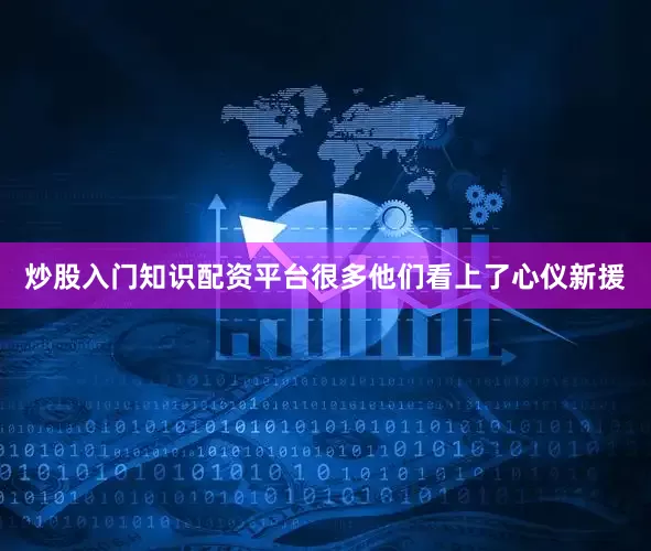 炒股入门知识配资平台很多他们看上了心仪新援
