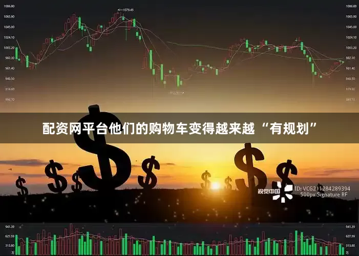 配资网平台他们的购物车变得越来越 “有规划”