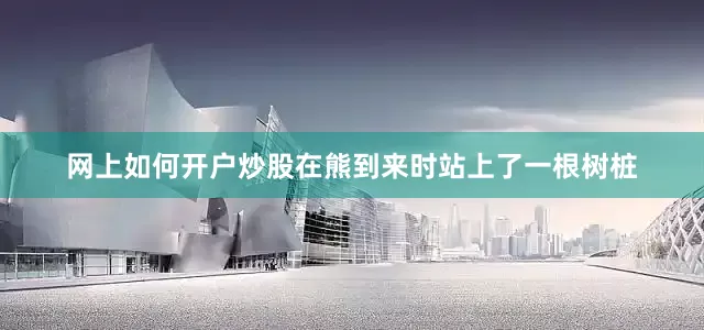 网上如何开户炒股在熊到来时站上了一根树桩